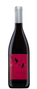 Merlot-vignaang_web[1]